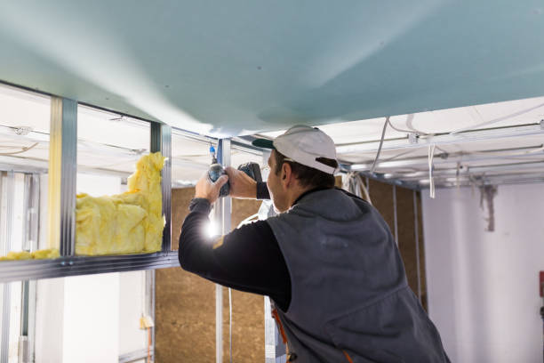 Best Energy-efficient Insulation  in Lexington, NC