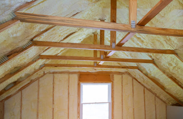 Best Insulation Contractor Near Me  in Lexington, NC