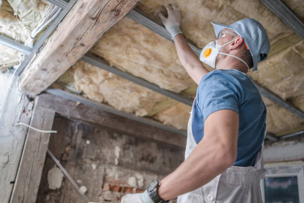 Best Insulation Contractor Near Me  in Lexington, NC
