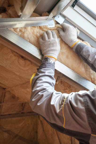 Best Garage Insulation Installation  in Lexington, NC