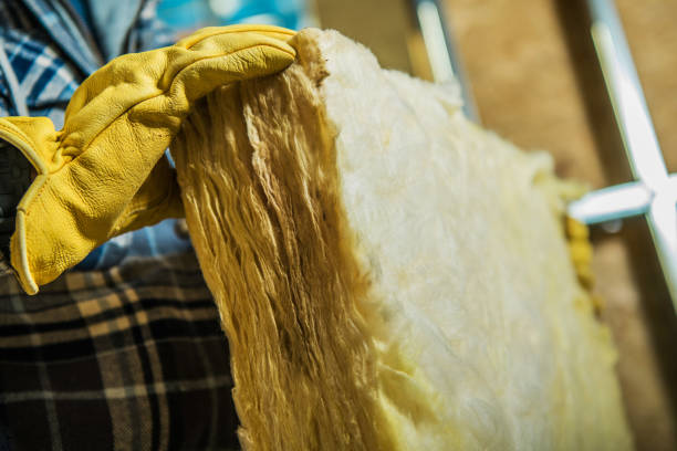 Best Attic Insulation Installation  in Lexington, NC