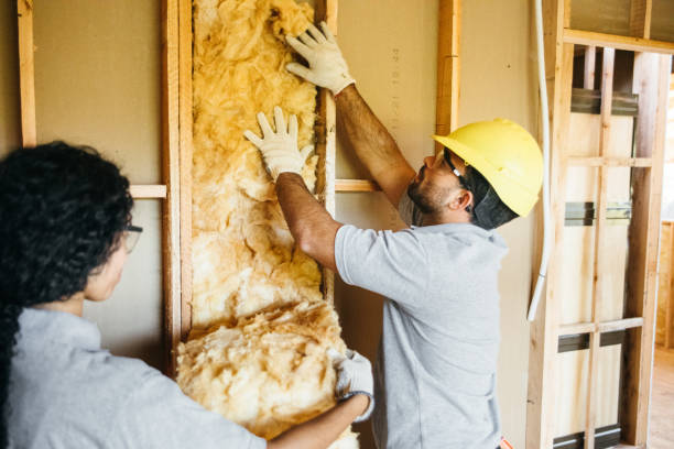 Best Home Insulation Services  in Lexington, NC
